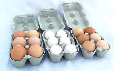 Eggs in boxes