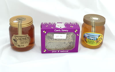 Honey Pots and Honeycomb